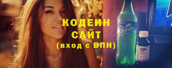 гашик Алексин