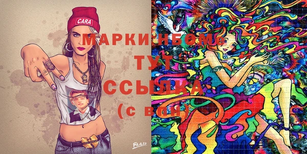 гашик Алексин