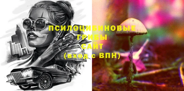 гашик Алексин