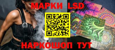 гашик Аргун