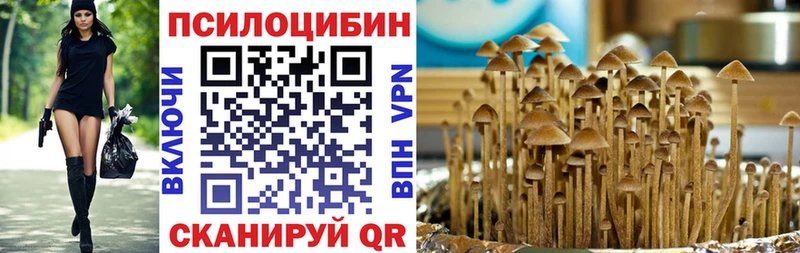 Галлюциногенные грибы прущие грибы  Баксан 